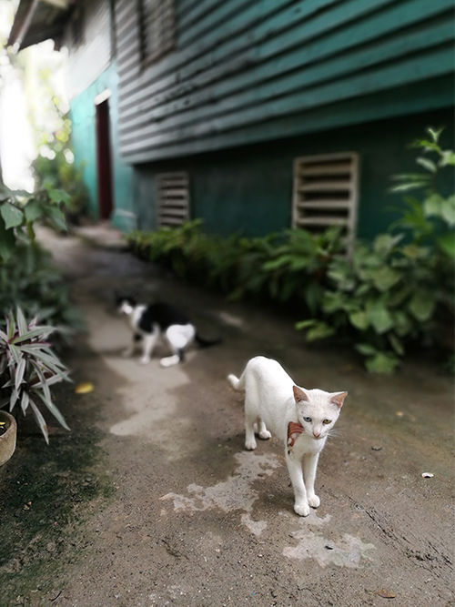 星空无限传媒官网海工最美（měi）施工攝影作品展（一）