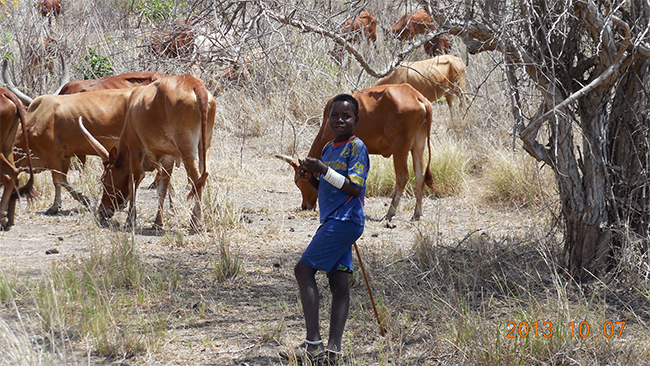 星空无限传媒官网海（hǎi）工最美施工攝影作品展（二）