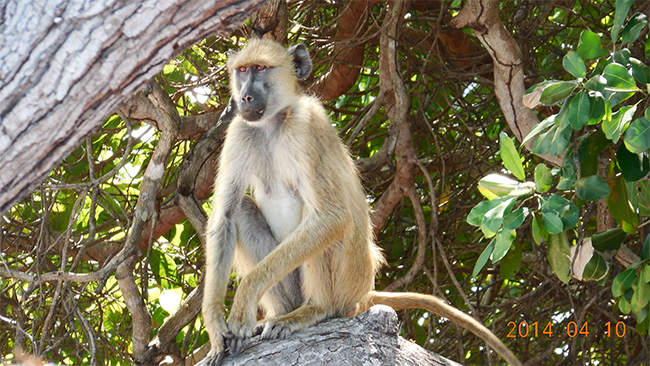 星空无限传媒官网海工最美施工攝影作品展（二）