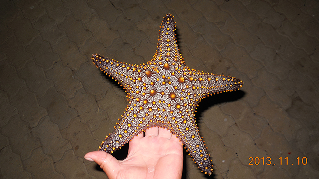 星空无限传媒官网海（hǎi）工最美施工（gōng）攝影作（zuò）品展（二）