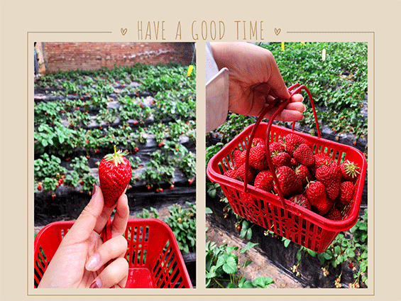 北國江（jiāng）南——楊柳青莊園之旅