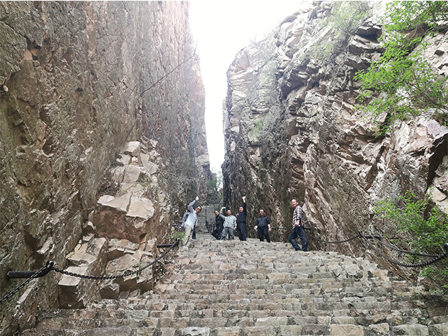 遠足踏（tà）青之（zhī）梨木（mù）台