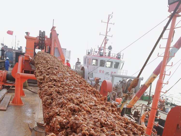 原渤西棄置海管高沙嶺（lǐng）區海管回收項目順利完工！