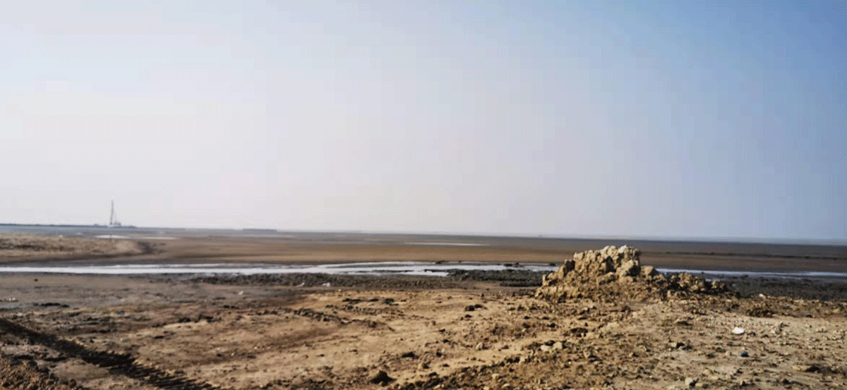 我（wǒ）司領導赴孟加（jiā）拉考察海工市場