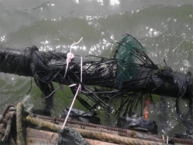 中信能源天時集團月東油田海纜維修項目（2013年）