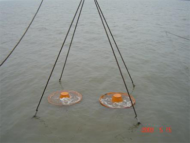 冀東油田（tián）1-3號島海底管道（dào）後挖溝項目（2009年--中石（shí）油）