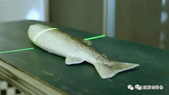 前沿技術 | “蛇形機器人”修複海底管道（dào）