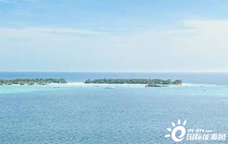 融合海洋牧場，海上風電發（fā）展新途徑