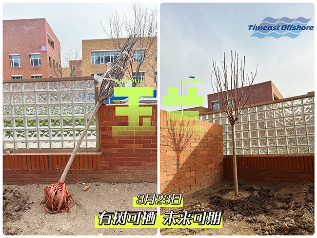 “植”此青綠  共沐春光