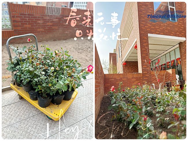 “植”此青綠  共沐春光