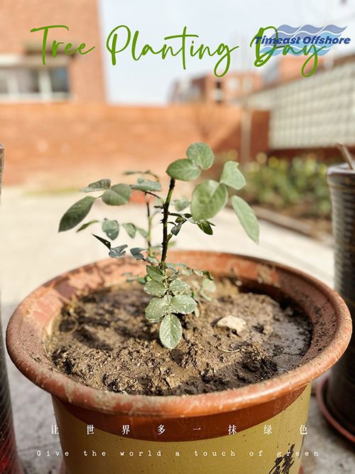 “植”此青綠  共沐春光