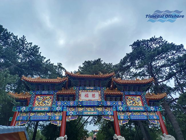 心之（zhī）所向，行之所往——赴一（yī）場春天的（de）約會