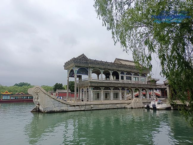 心之所向，行之（zhī）所往——赴一場春天的約會