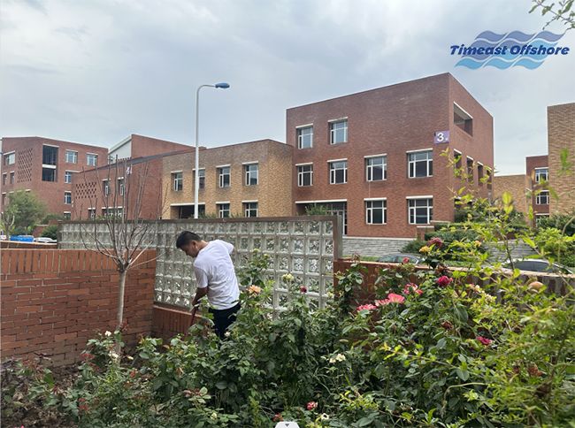 不負秋意好時光，天（tiān）易小院兒正忙（máng）