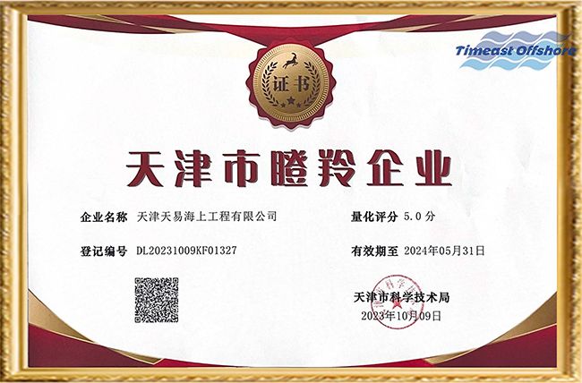 喜報丨星空无限传媒官网海工榮獲“天津市（shì）創新（xīn）型中小企業”和“天津市瞪羚（líng）企業”雙重認定